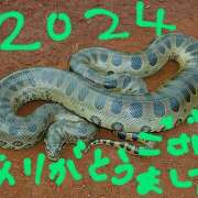 ヒメ日記 2024/12/28 19:04 投稿 ななみ 宇都宮人妻デリバリー 一期一会 二章