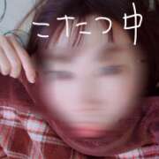 ヒメ日記 2025/12/01 12:10 投稿 ななみ 宇都宮人妻デリバリー 一期一会 二章