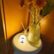 ヒメ日記 2026/02/09 21:05 投稿 ななみ 宇都宮人妻デリバリー 一期一会 二章