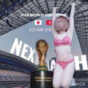 ヒメ日記 2026/06/15 12:17 投稿 ななみ 宇都宮人妻デリバリー 一期一会 二章