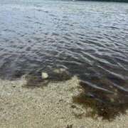 ヒメ日記 2025/04/28 20:18 投稿 めむ『ぽっちゃりコース』 素人学園＠