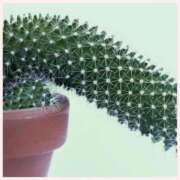 ヒメ日記 2025/05/22 17:58 投稿 ありさ～M性感～ アメイジングビル～道後最大級！遊び方無限大∞ヘルス♪～