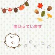 ヒメ日記 2024/10/11 10:58 投稿 直江 MadameRest(マダムレスト)