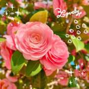 ヒメ日記 2025/04/04 18:19 投稿 直江 MadameRest(マダムレスト)