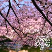 ヒメ日記 2025/04/12 01:42 投稿 直江 MadameRest(マダムレスト)