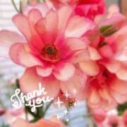 ヒメ日記 2025/04/15 15:27 投稿 直江 MadameRest(マダムレスト)