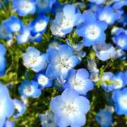 ヒメ日記 2025/05/02 03:37 投稿 直江 MadameRest(マダムレスト)