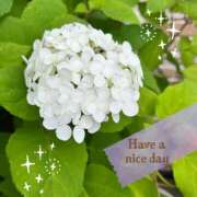 ヒメ日記 2025/06/24 10:03 投稿 直江 MadameRest(マダムレスト)