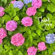 ヒメ日記 2025/06/28 16:46 投稿 直江 MadameRest(マダムレスト)