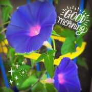 ヒメ日記 2025/07/21 10:01 投稿 直江 MadameRest(マダムレスト)