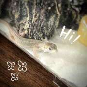 ヒメ日記 2025/09/09 11:54 投稿 直江 MadameRest(マダムレスト)