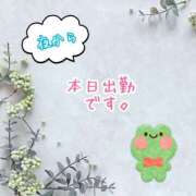 ヒメ日記 2026/02/04 14:44 投稿 直江 MadameRest(マダムレスト)