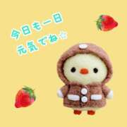 ヒメ日記 2026/03/18 09:52 投稿 直江 MadameRest(マダムレスト)