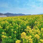 ヒメ日記 2026/03/20 07:42 投稿 直江 MadameRest(マダムレスト)