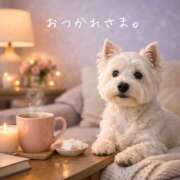 ヒメ日記 2026/03/26 19:19 投稿 直江 MadameRest(マダムレスト)