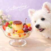 ヒメ日記 2026/03/28 17:09 投稿 直江 MadameRest(マダムレスト)