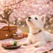 ヒメ日記 2026/04/01 12:05 投稿 直江 MadameRest(マダムレスト)