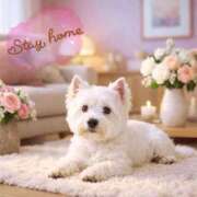 ヒメ日記 2026/04/03 11:18 投稿 直江 MadameRest(マダムレスト)