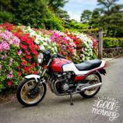 ヒメ日記 2026/04/24 10:50 投稿 直江 MadameRest(マダムレスト)