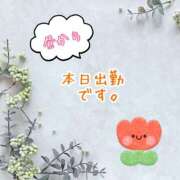 ヒメ日記 2026/05/04 07:33 投稿 直江 MadameRest(マダムレスト)