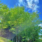 ヒメ日記 2026/05/11 09:53 投稿 直江 MadameRest(マダムレスト)