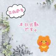 ヒメ日記 2026/08/15 10:00 投稿 直江 MadameRest(マダムレスト)
