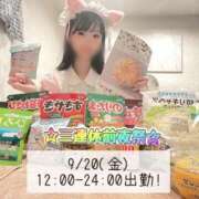 ヒメ日記 2024/09/20 07:00 投稿 るるな アリスカフェ