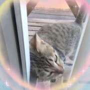 りさ 訪問者😂 One More 奥様　松戸店