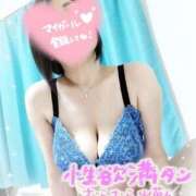 ヒメ日記 2026/10/13 11:24 投稿 りさ One More 奥様　松戸店