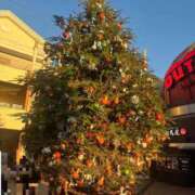 ヒメ日記 2025/12/19 12:20 投稿 ほしみ 熟女の風俗最終章 相模原店