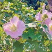 ヒメ日記 2025/05/02 22:33 投稿 ちづる しろうと娘　本店