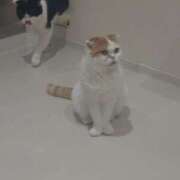 ヒメ日記 2025/09/25 13:38 投稿 本田　まい Oasis(薬研堀)