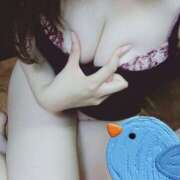 ヒメ日記 2025/11/14 12:00 投稿 ことり 難波女子高生はやめました！！