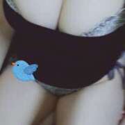 ヒメ日記 2025/12/23 21:10 投稿 ことり 難波女子高生はやめました！！