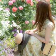 ヒメ日記 2026/02/04 10:45 投稿 み　か【大人女子】 Select(セレクト)