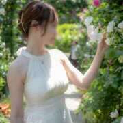 ヒメ日記 2026/03/25 01:00 投稿 み　か【大人女子】 Select(セレクト)