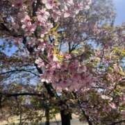 ヒメ日記 2026/03/17 18:40 投稿 さゆり チアガール