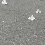 ヒメ日記 2025/04/04 11:55 投稿 りく 奥様の実話 谷九店