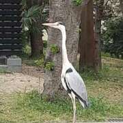 ヒメ日記 2025/04/11 12:02 投稿 りく 奥様の実話 谷九店