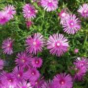 ヒメ日記 2025/05/31 10:54 投稿 りく 奥様の実話 谷九店