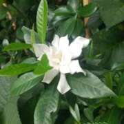 ヒメ日記 2025/06/10 12:31 投稿 りく 奥様の実話 谷九店