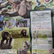 ヒメ日記 2025/07/01 11:05 投稿 りく 奥様の実話 谷九店