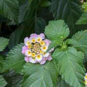 ヒメ日記 2025/07/12 12:42 投稿 りく 奥様の実話 谷九店