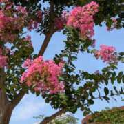 ヒメ日記 2025/07/21 12:39 投稿 りく 奥様の実話 谷九店