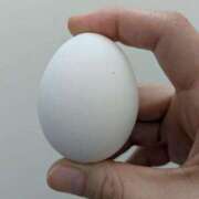 ヒメ日記 2025/08/22 10:56 投稿 りく 奥様の実話 谷九店