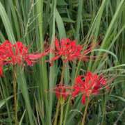 ヒメ日記 2025/09/26 12:36 投稿 りく 奥様の実話 谷九店