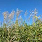 ヒメ日記 2025/10/10 10:49 投稿 りく 奥様の実話 谷九店