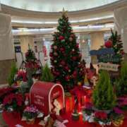 ヒメ日記 2025/12/02 10:57 投稿 りく 奥様の実話 谷九店