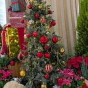 ヒメ日記 2025/12/20 11:06 投稿 りく 奥様の実話 谷九店