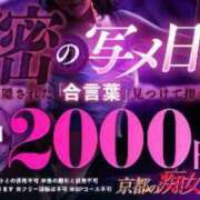 ヒメ日記 2024/03/19 17:05 投稿 ひめ 京都の痴女鉄道